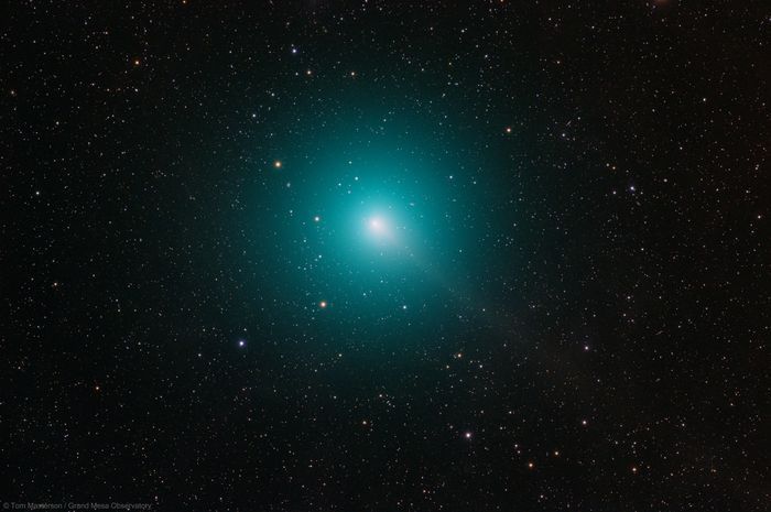 Комета 46P/Виртанена во всей своей красоте! Фото Том Мастерсон (Tom Masterson, Grand Mesa Observatory).